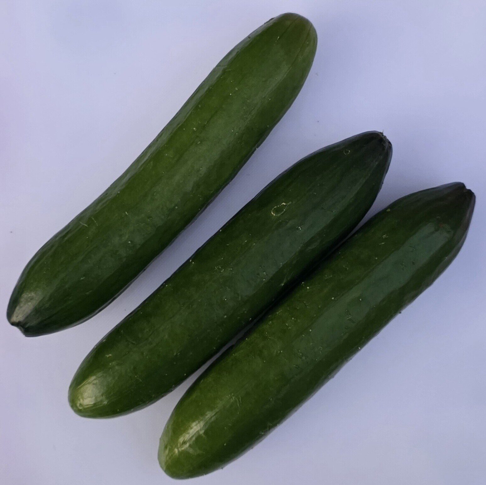 Delightfully Fresh Organics Certified Organic Cucumber - Lebanese