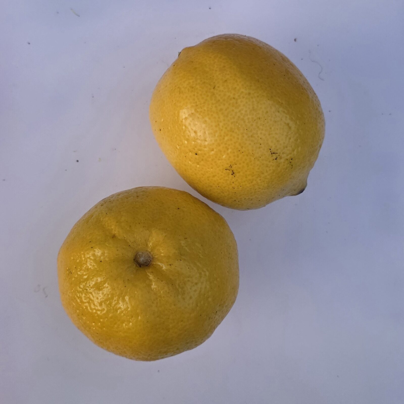 Delightfully Fresh Organics Certified Organic Lemons