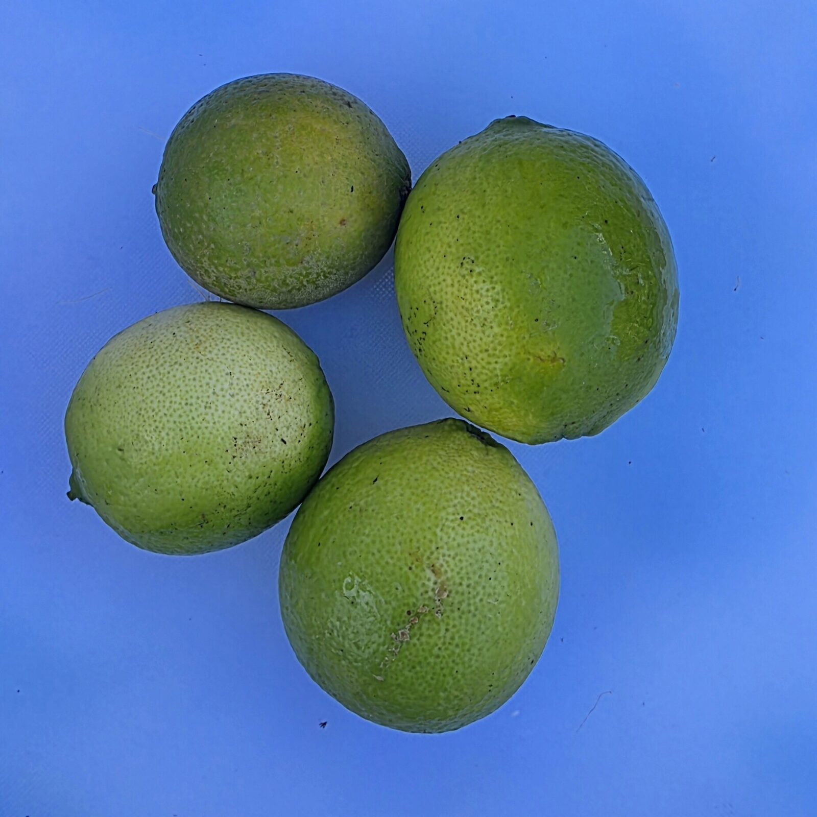 Delightfully Fresh Organics Certified Organic Limes