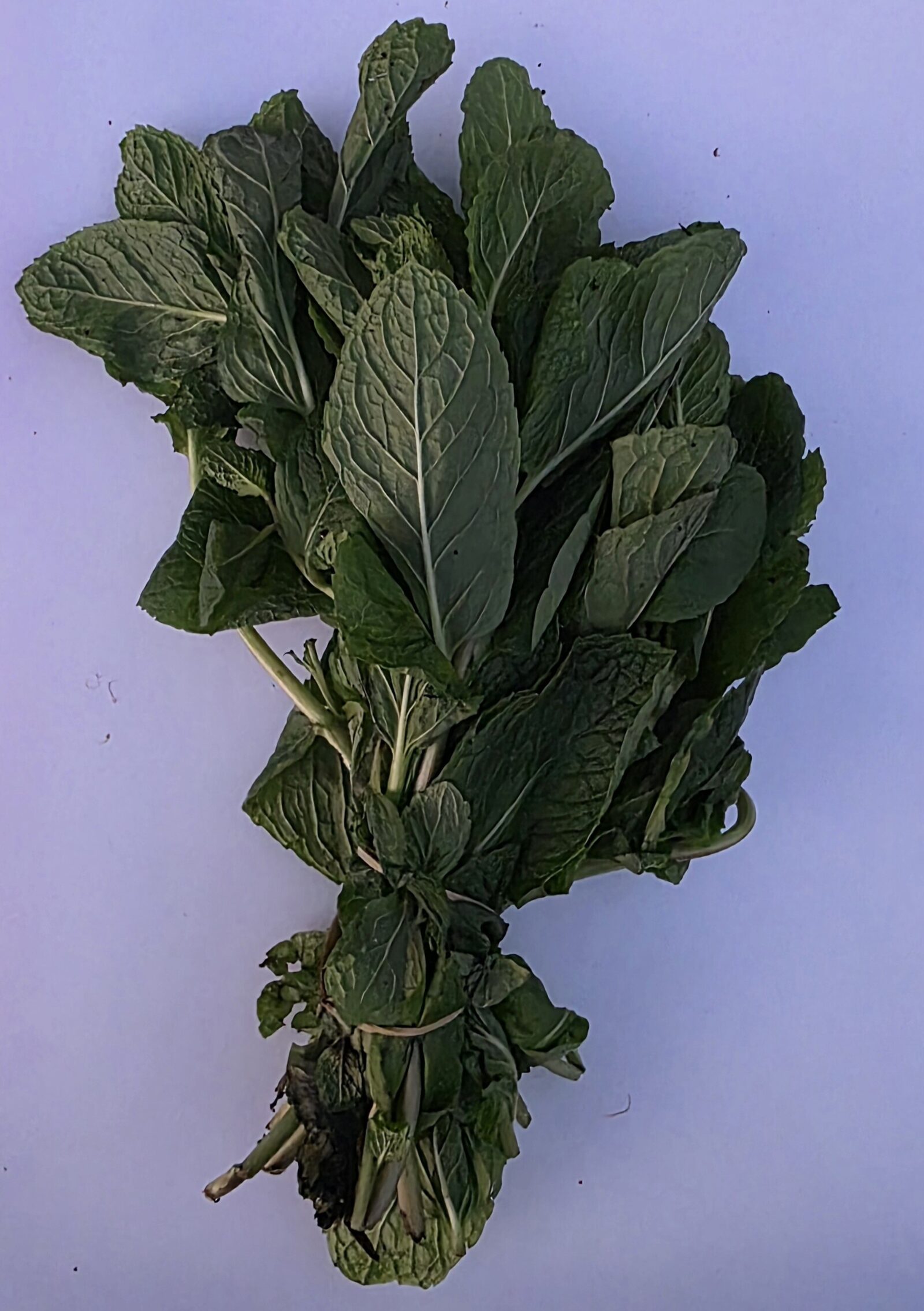 Delightfully Fresh Organics Certified Organic Mint Bunch