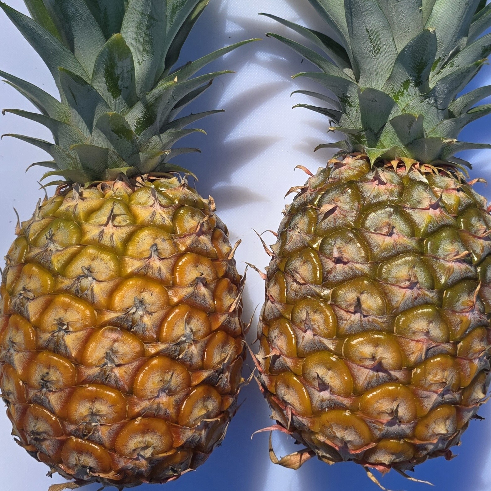 Delightfully Fresh Organics Certified Organic Pineapple