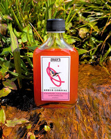 Ziggy's Wild Foods Wild Strawberry Gum & Watermelon Cordial 200ml